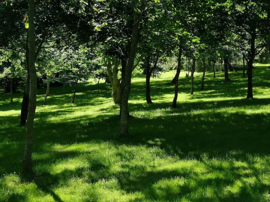 Red Squirrel Holiday Home In The Countryside, 10 Mins To Lligwy Beach Llandyfrydog Exterior foto